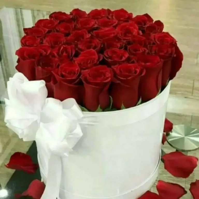 باکس گل رز